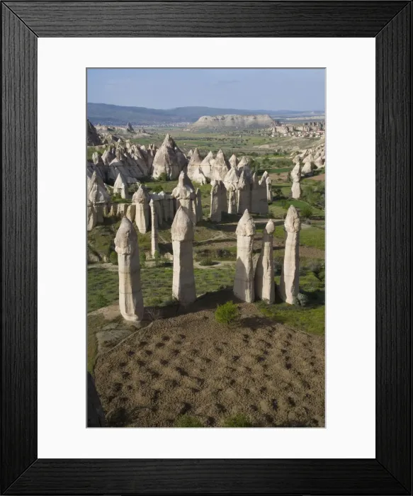 Framed Print : DDE-90025615