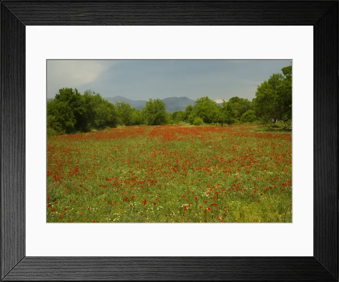 Framed Print : DDE-90025622 Framed Print : DDE-90025622