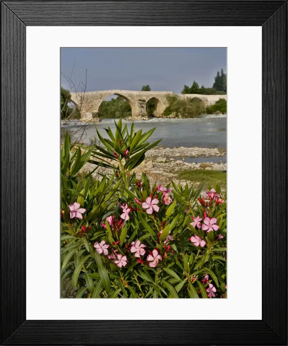Framed Print : DDE-90025630 Framed Print : DDE-90025630
