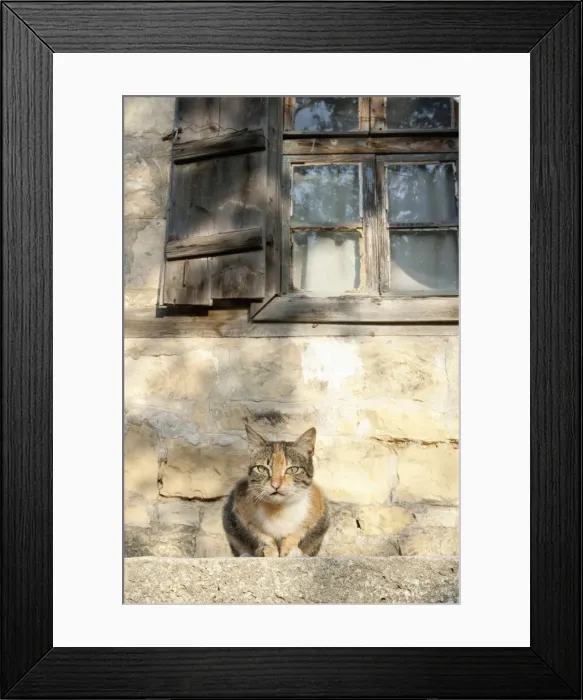 Framed Print : DDE-90025637 Framed Print : DDE-90025637