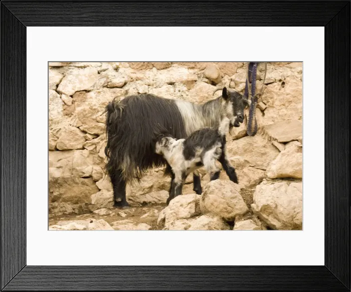 Framed Print : DDE-90025641 Framed Print : DDE-90025641