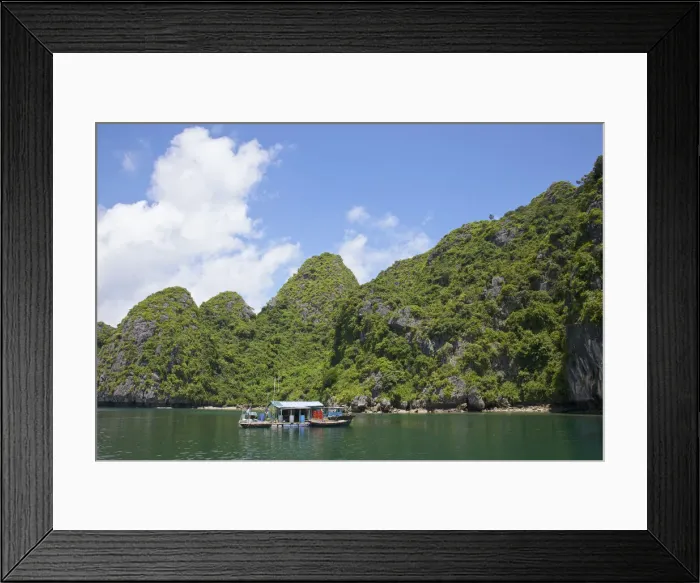 Framed Print : DDE-90025653 Framed Print : DDE-90025653