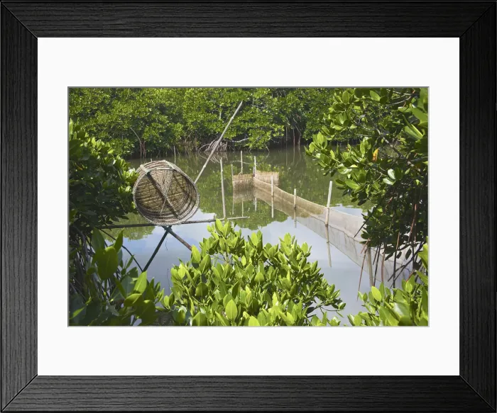 Framed Print : DDE-90025654 Framed Print : DDE-90025654