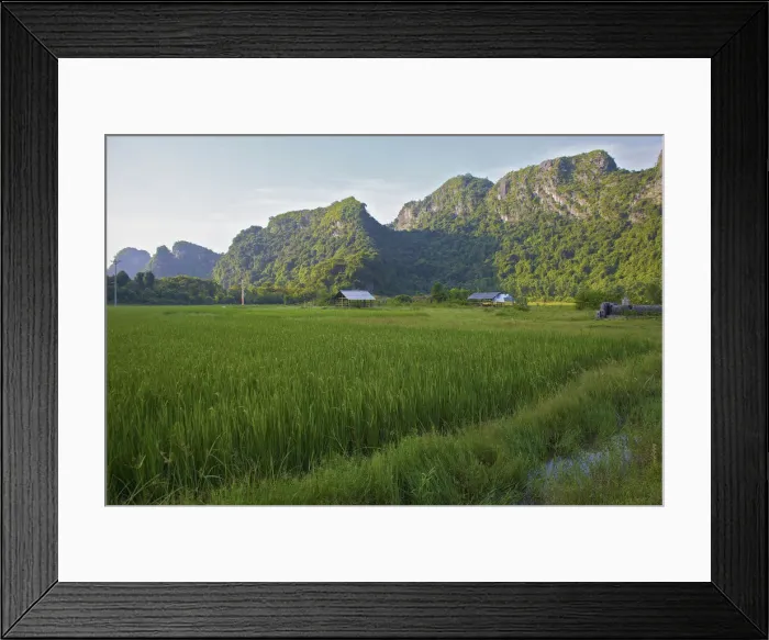 Framed Print : DDE-90025657 Framed Print : DDE-90025657