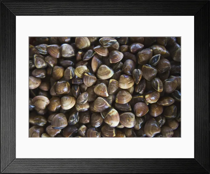 Framed Print : DDE-90025665 Framed Print : DDE-90025665