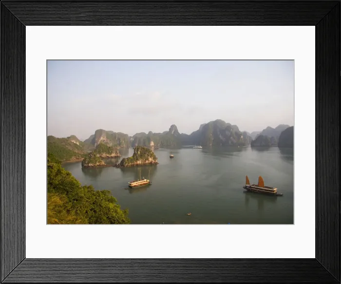 Framed Print : DDE-90025684