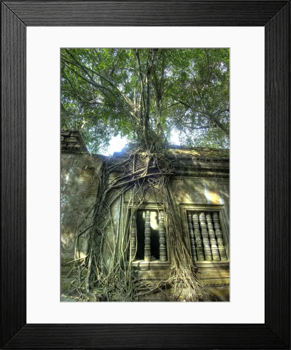 Framed Print : DDE-90025704 Framed Print : DDE-90025704