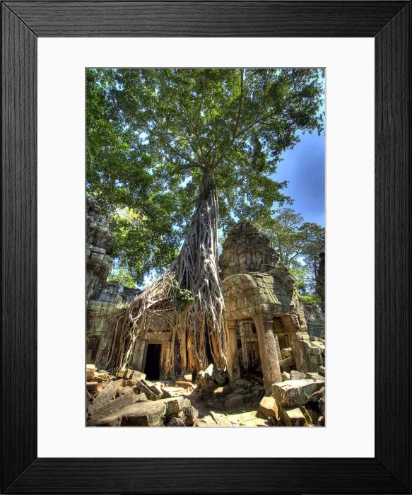 Framed Print : DDE-90025709 Framed Print : DDE-90025709