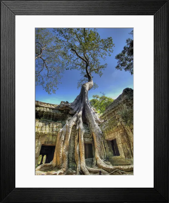 Framed Print : DDE-90025710 Framed Print : DDE-90025710