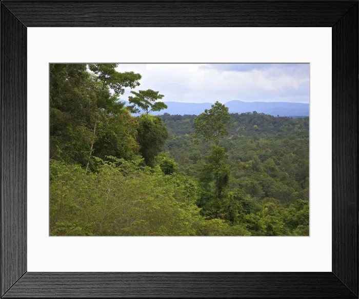 Framed Print : DDE-90025714 Framed Print : DDE-90025714
