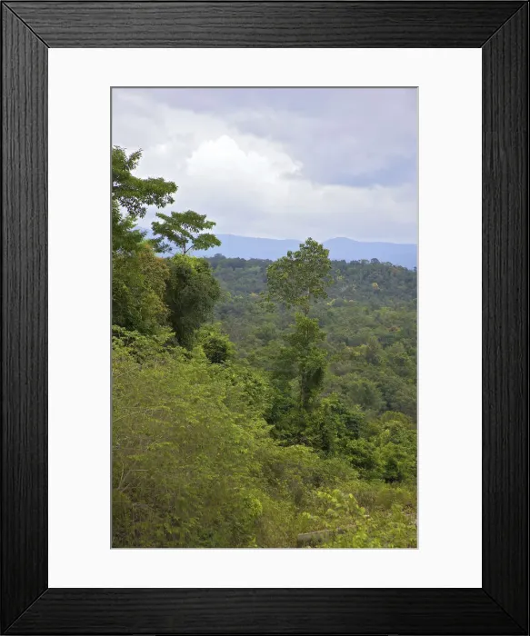 Framed Print : DDE-90025715 Framed Print : DDE-90025715
