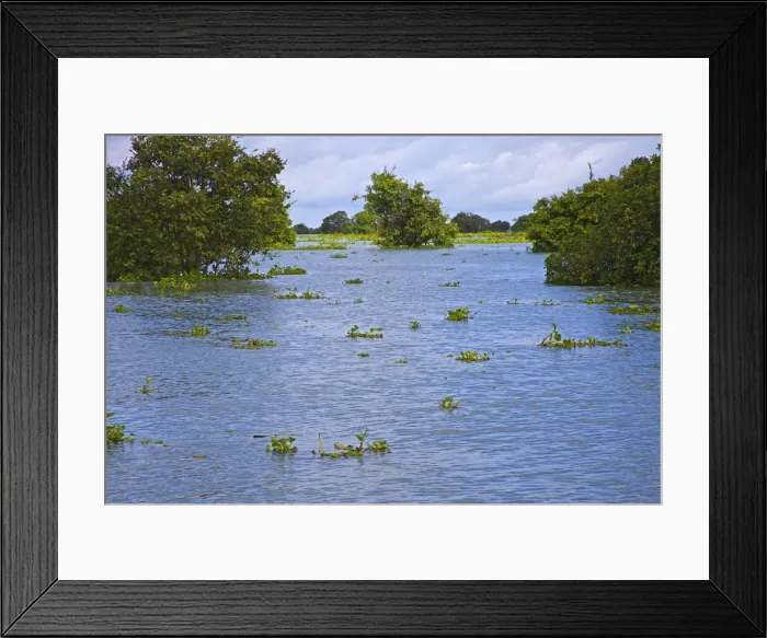 Framed Print : DDE-90025717 Framed Print : DDE-90025717