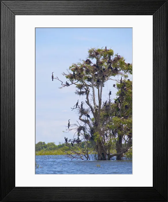 Framed Print : DDE-90025719 Framed Print : DDE-90025719