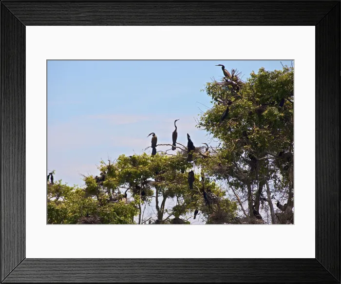 Framed Print : DDE-90025720 Framed Print : DDE-90025720