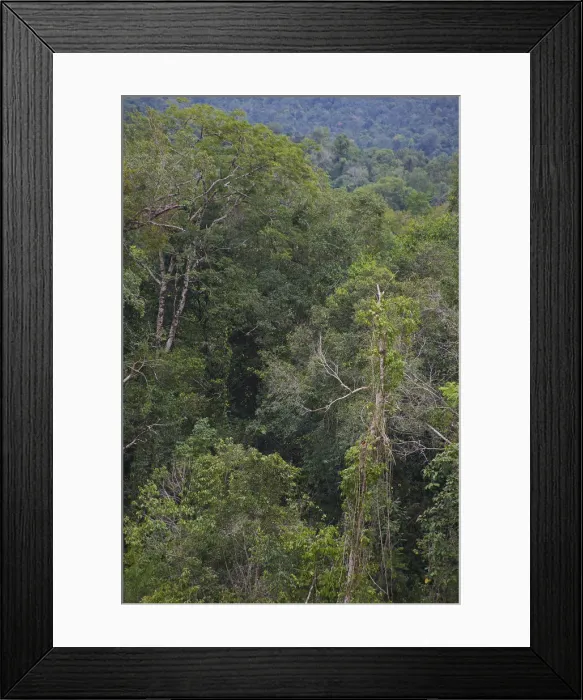 Framed Print : DDE-90025723 Framed Print : DDE-90025723