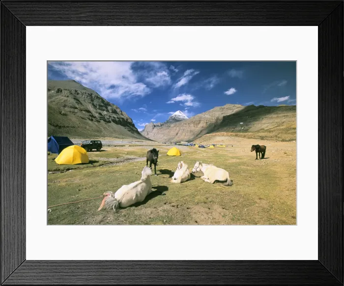Framed Print : DDE-90025725 Framed Print : DDE-90025725
