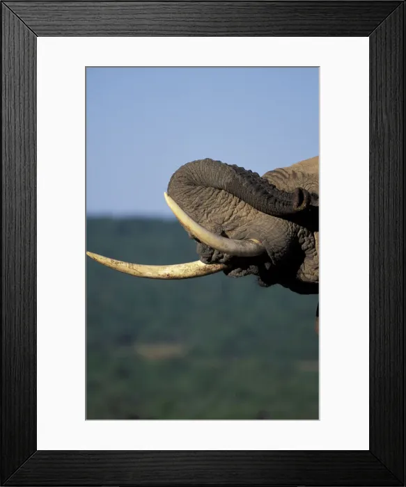 Framed Print : DDE-90025730 Framed Print : DDE-90025730