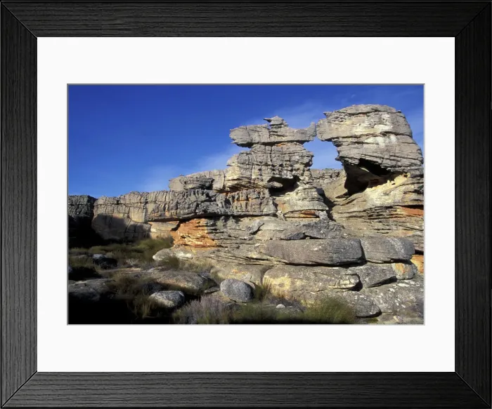 Framed Print : DDE-90025736 Framed Print : DDE-90025736