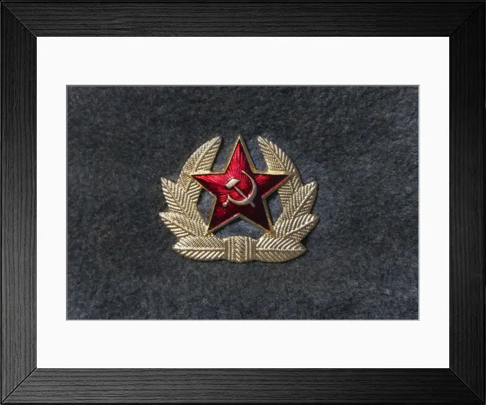 Framed Print : DDE-90025753 Framed Print : DDE-90025753