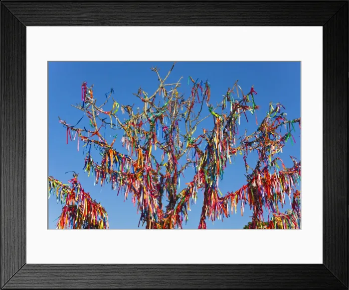 Framed Print : DDE-90025756 Framed Print : DDE-90025756