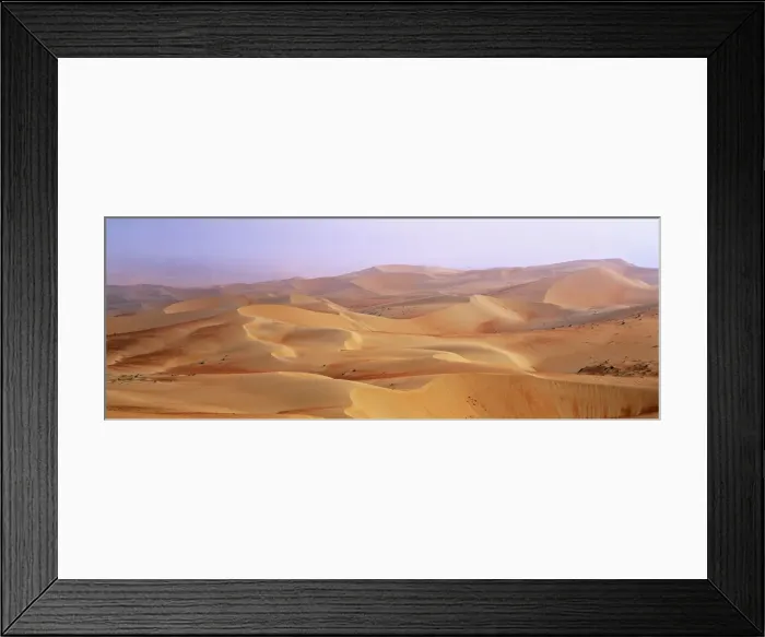 Framed Print : DDE-90025799