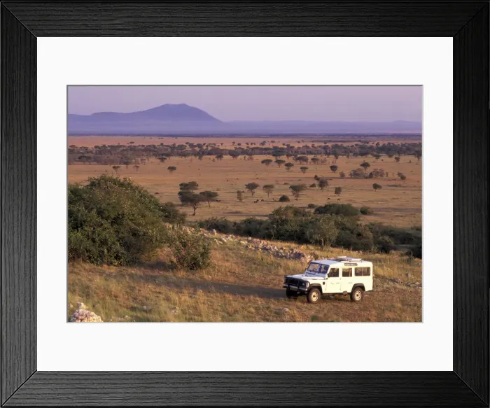 Framed Print : DDE-90025805 Framed Print : DDE-90025805
