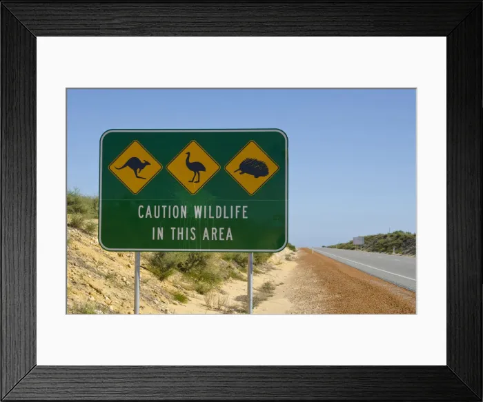 Framed Print : DDE-90025818