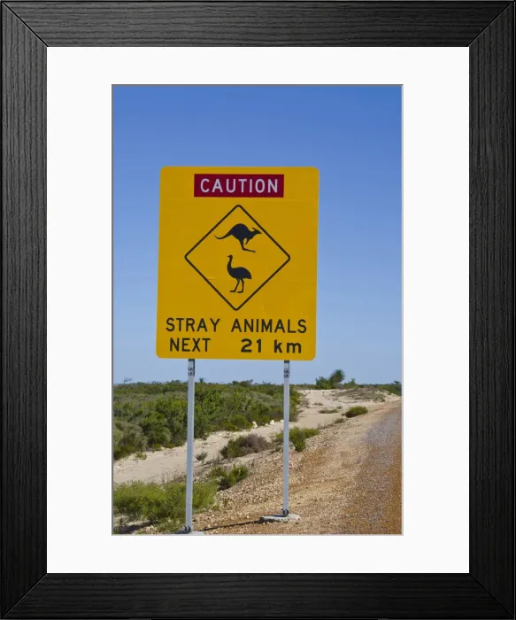 Framed Print : DDE-90025817