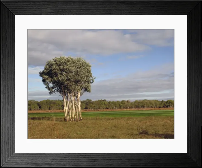 Framed Print : DDE-90025828 Framed Print : DDE-90025828