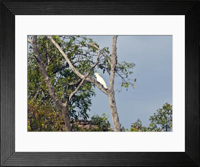 Framed Print : DDE-90025832 Framed Print : DDE-90025832
