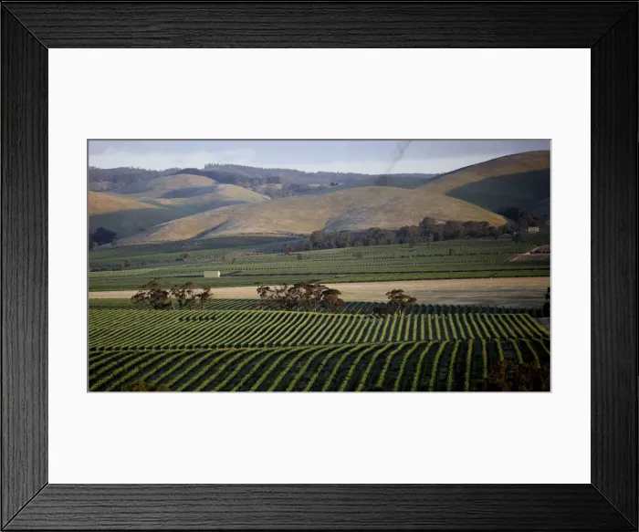 Framed Print : DDE-90025840 Framed Print : DDE-90025840