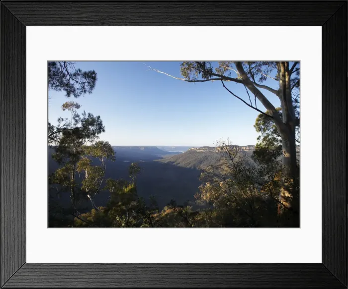 Framed Print : DDE-90025848