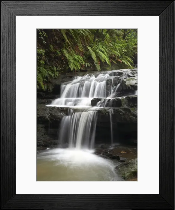 Framed Print : DDE-90025856 Framed Print : DDE-90025856