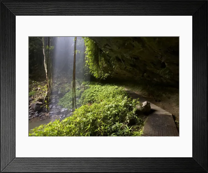 Framed Print : DDE-90025863