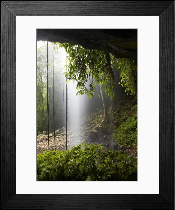 Framed Print : DDE-90025864 Framed Print : DDE-90025864
