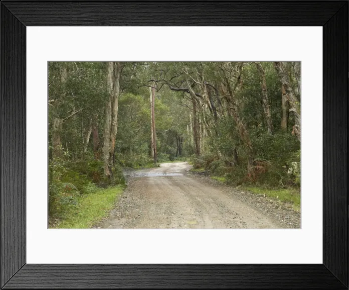 Framed Print : DDE-90025869 Framed Print : DDE-90025869