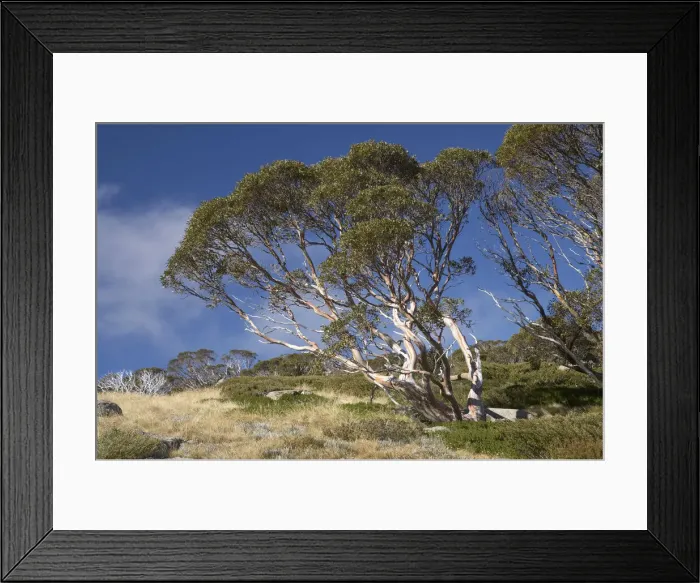 Framed Print : DDE-90025875 Framed Print : DDE-90025875