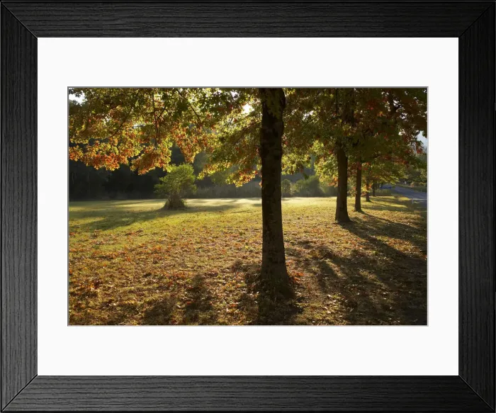 Framed Print : DDE-90025876 Framed Print : DDE-90025876