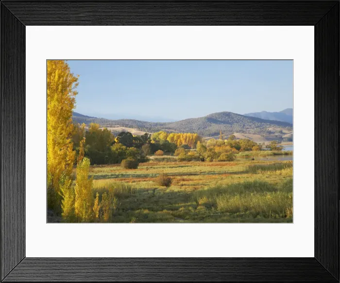 Framed Print : DDE-90025880