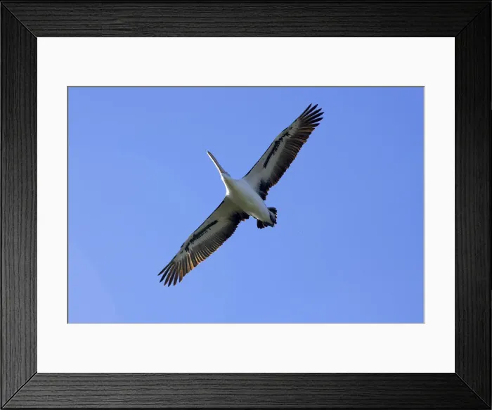 Framed Print : DDE-90025888 Framed Print : DDE-90025888