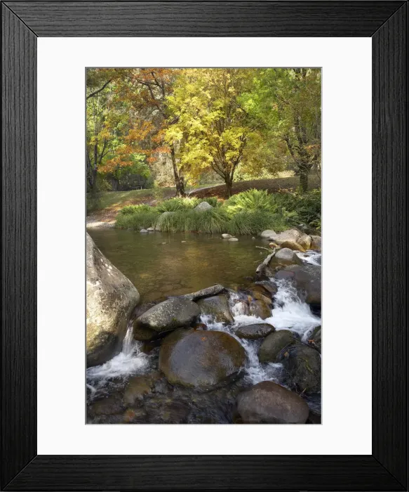 Framed Print : DDE-90025903 Framed Print : DDE-90025903