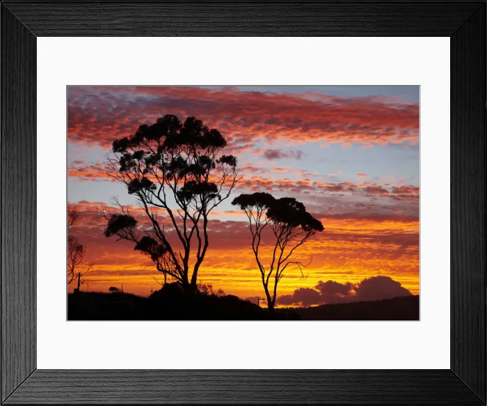 Framed Print : DDE-90025915 Framed Print : DDE-90025915