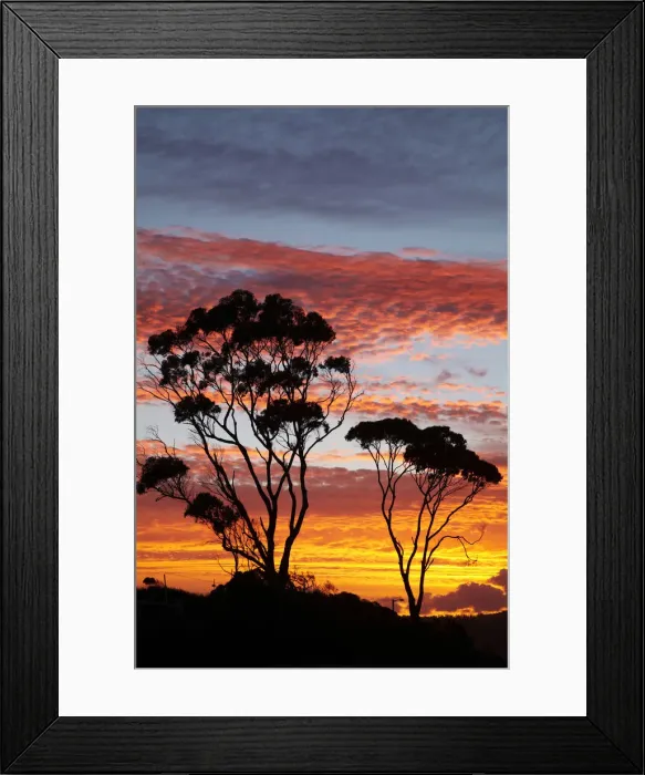 Framed Print : DDE-90025917 Framed Print : DDE-90025917