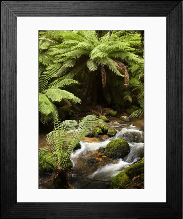 Framed Print : DDE-90025919 Framed Print : DDE-90025919