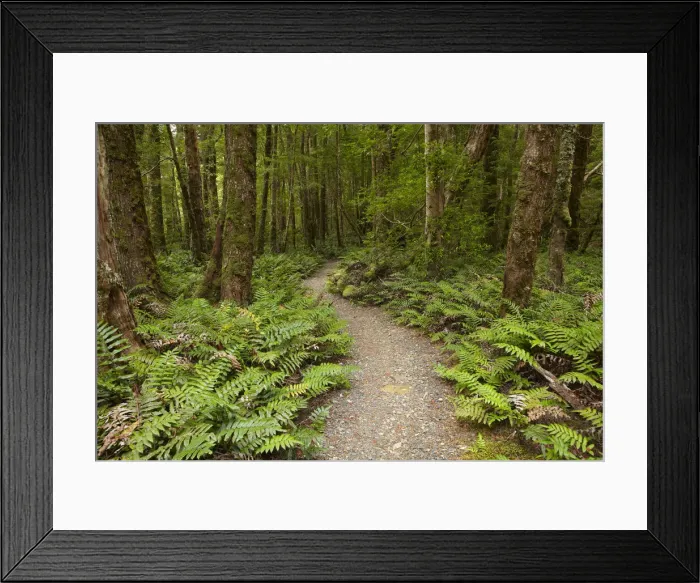 Framed Print : DDE-90025920 Framed Print : DDE-90025920