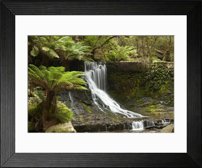 Framed Print : DDE-90025924 Framed Print : DDE-90025924