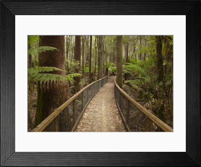 Framed Print : DDE-90025925 Framed Print : DDE-90025925