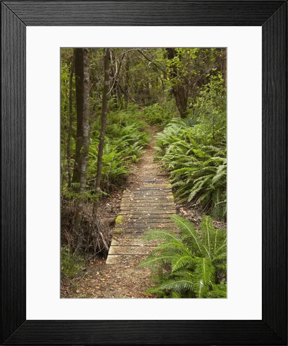 Framed Print : DDE-90025926 Framed Print : DDE-90025926