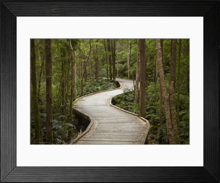 Framed Print : DDE-90025927 Framed Print : DDE-90025927