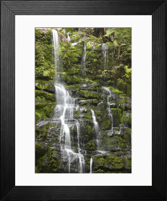 Framed Print : DDE-90025928 Framed Print : DDE-90025928